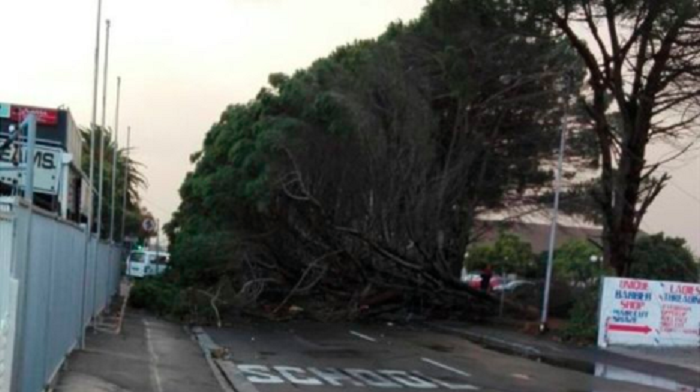Fallen trees have caused roads to close across Cape Town